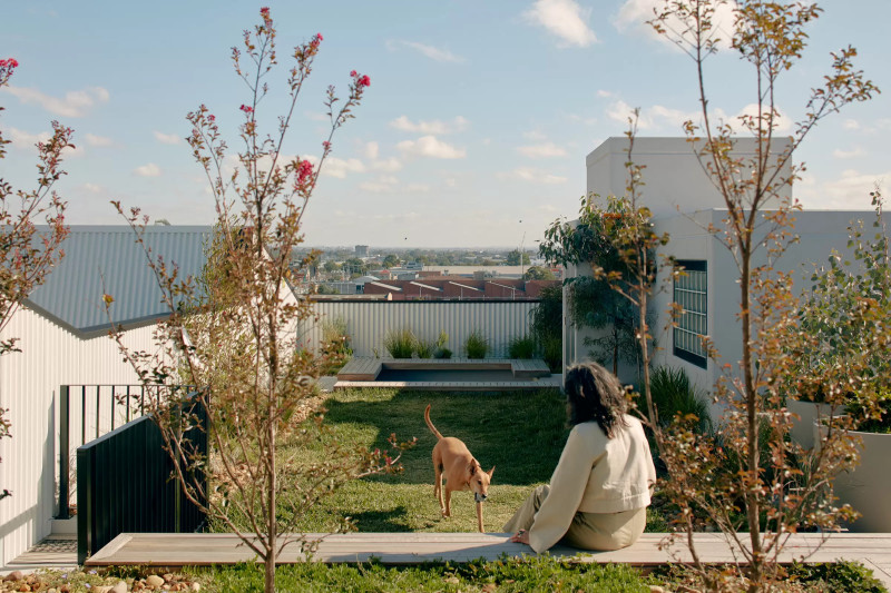 A girl with her back to the camera playing with a dog on a grassy, rooftop terrace